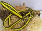Preview: - Kopie